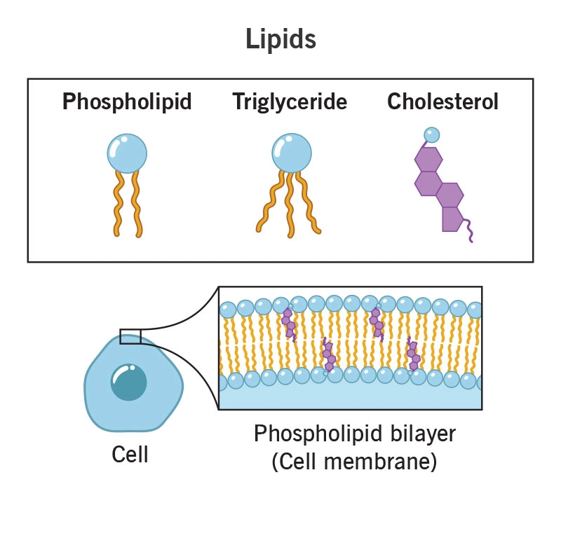 زیست شناسی دهم فصل اول