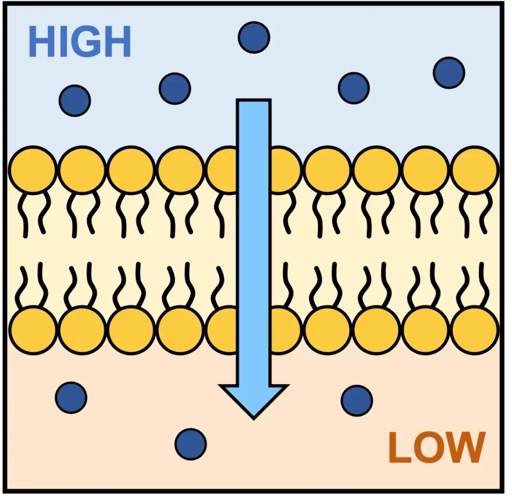 فصل اول زیست شناسی دهم