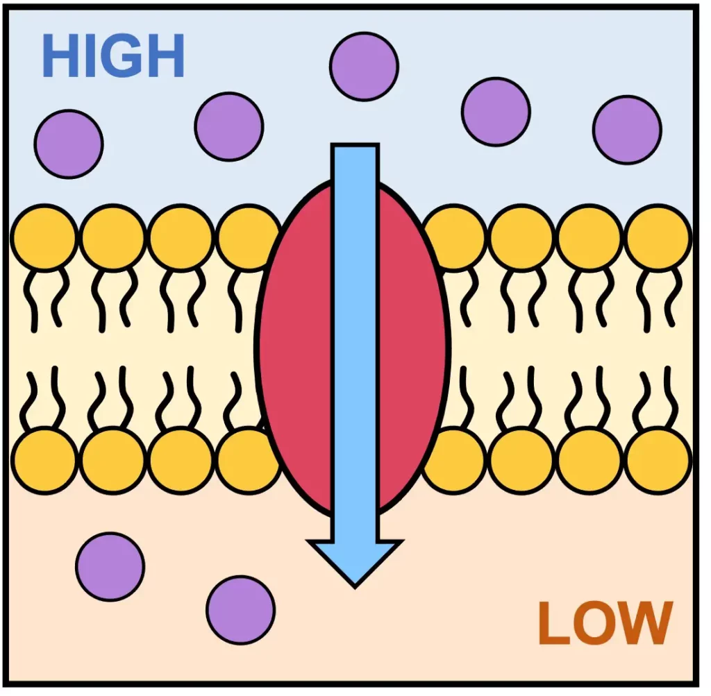 زیست شناسی دهم