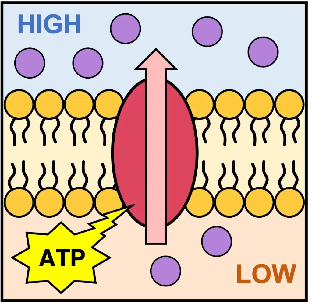 زیست دهم فصل اول